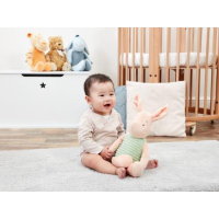 Winnie l'Ourson Hundred Acre Wood Collection Classique Peluche Porcinet 27,5 cm